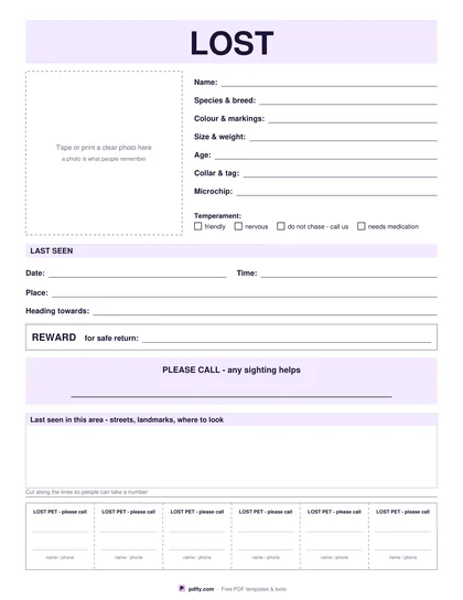 Printable lost pet poster with photo box, description, last seen details, reward line and tear-off phone strips